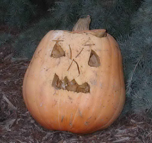 Nipomo Pumpkin Patch Kids Carving